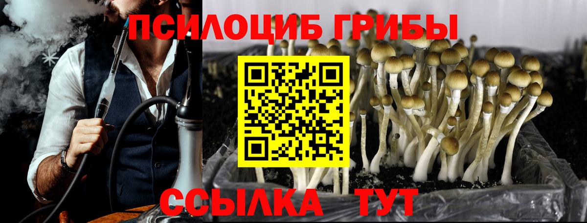 Галлюциногенные грибы Magic Shrooms  Вход с VPN  Псилоцибиновые грибы Psilocybine cubensis  Барабинск 